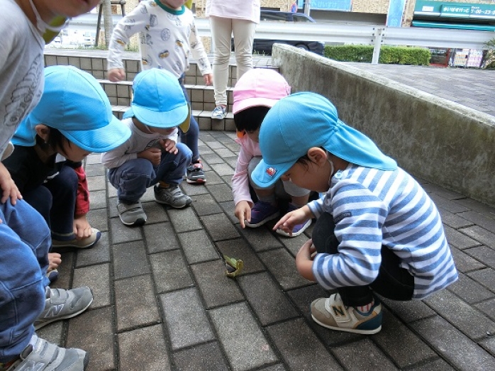 木の実や虫に釘づけ🐜